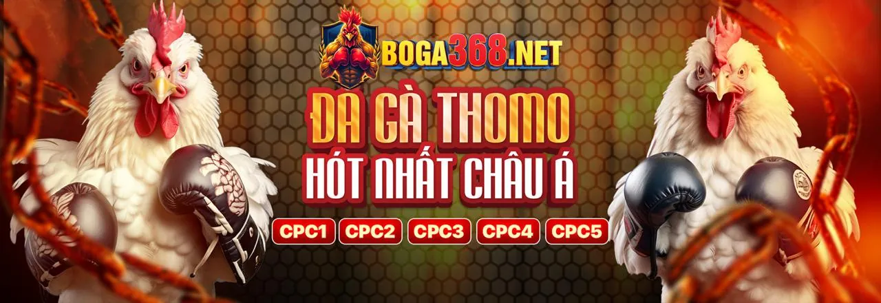 Hình ảnh chính của blog 33wwin code, thể hiện các trò chơi giải trí và ưu đãi hấp dẫn