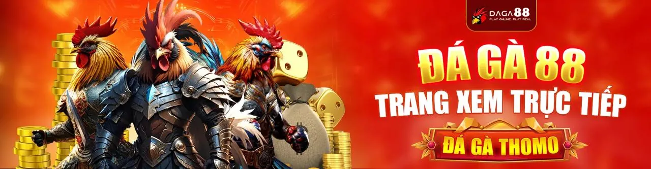 Sân đấu đá gà trực tuyến sôi động tại 33wwin code